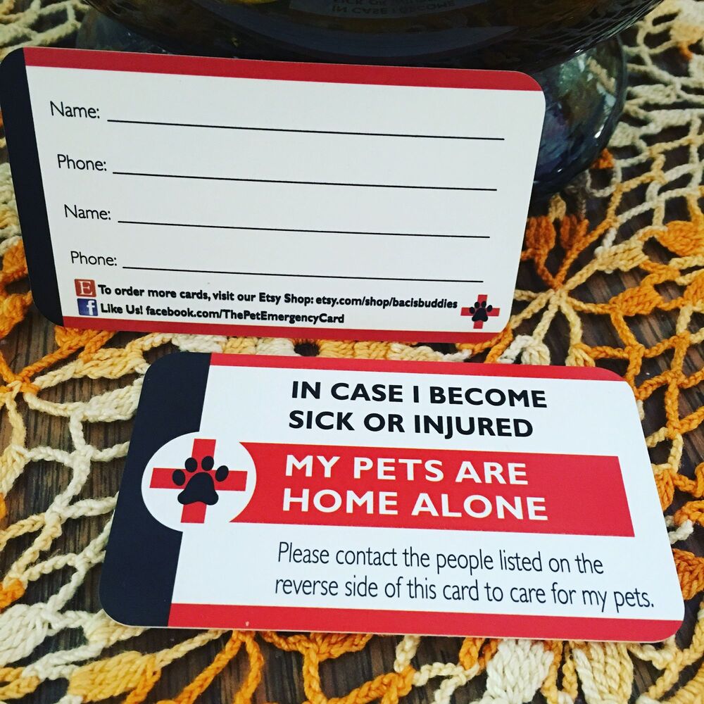In Case Of Emergency Pet Cards - Set of 2